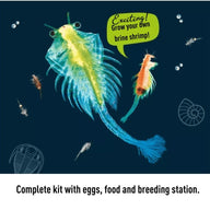 Thames & Kosmos Sea Dogs Breeding Station