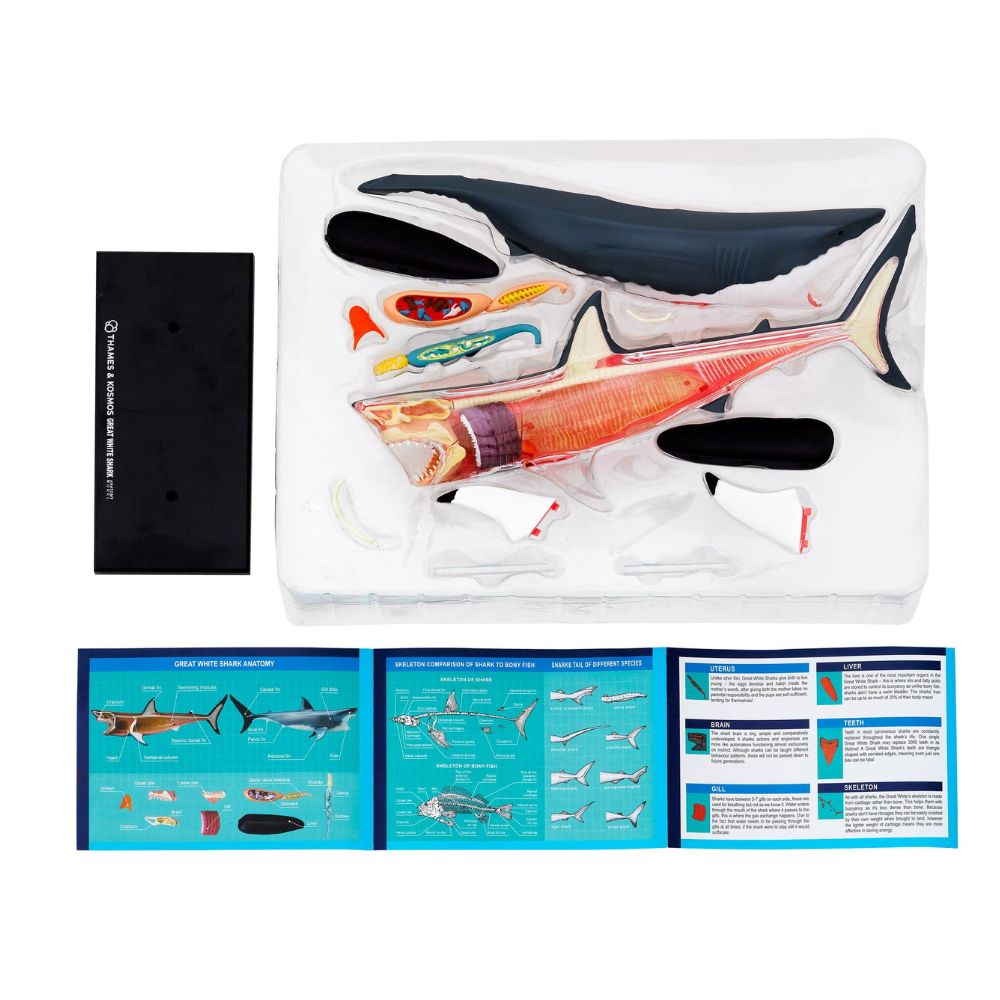 science kits for kids
