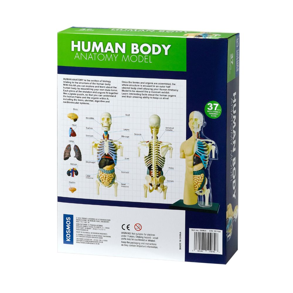 Thames and Kosmos Human Body Anatomy