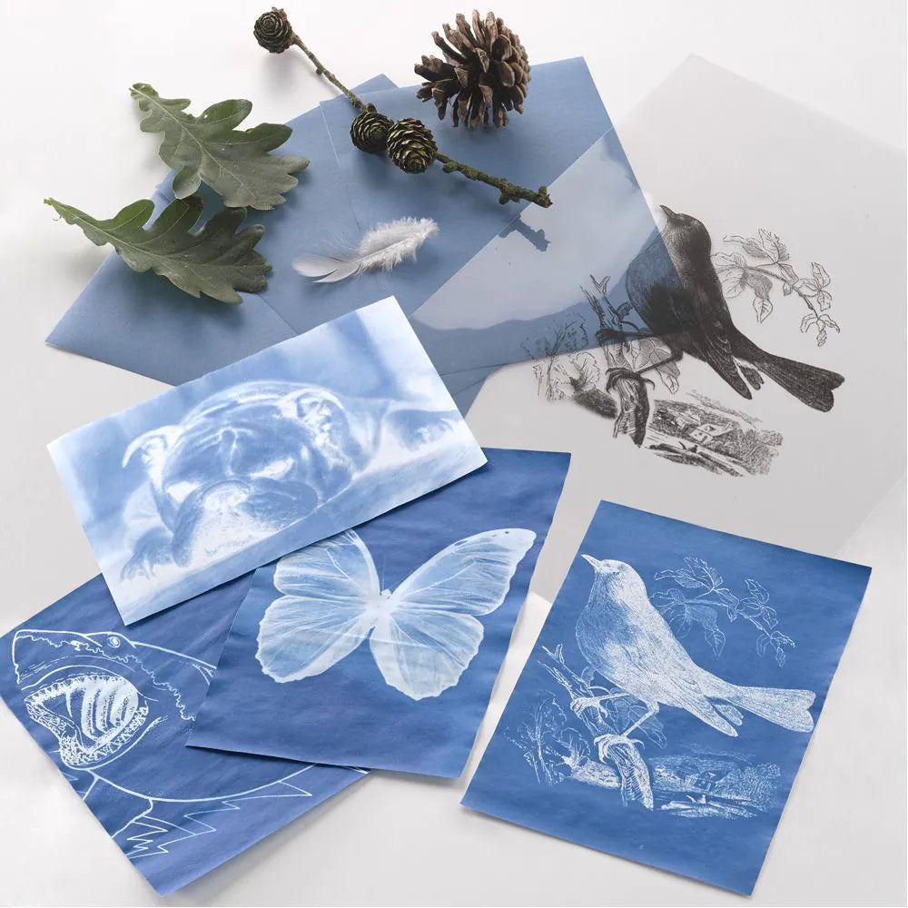 Nature Print Paper Pack - Pack of 30