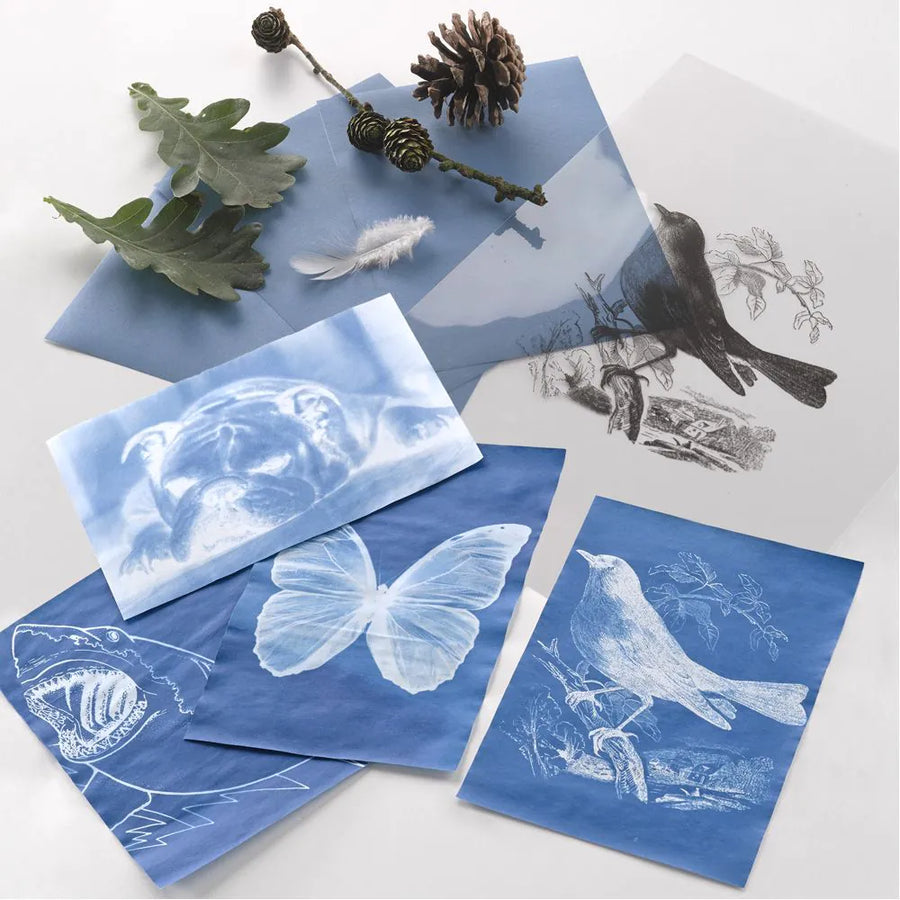 Nature Print Paper Pack - Pack of 30