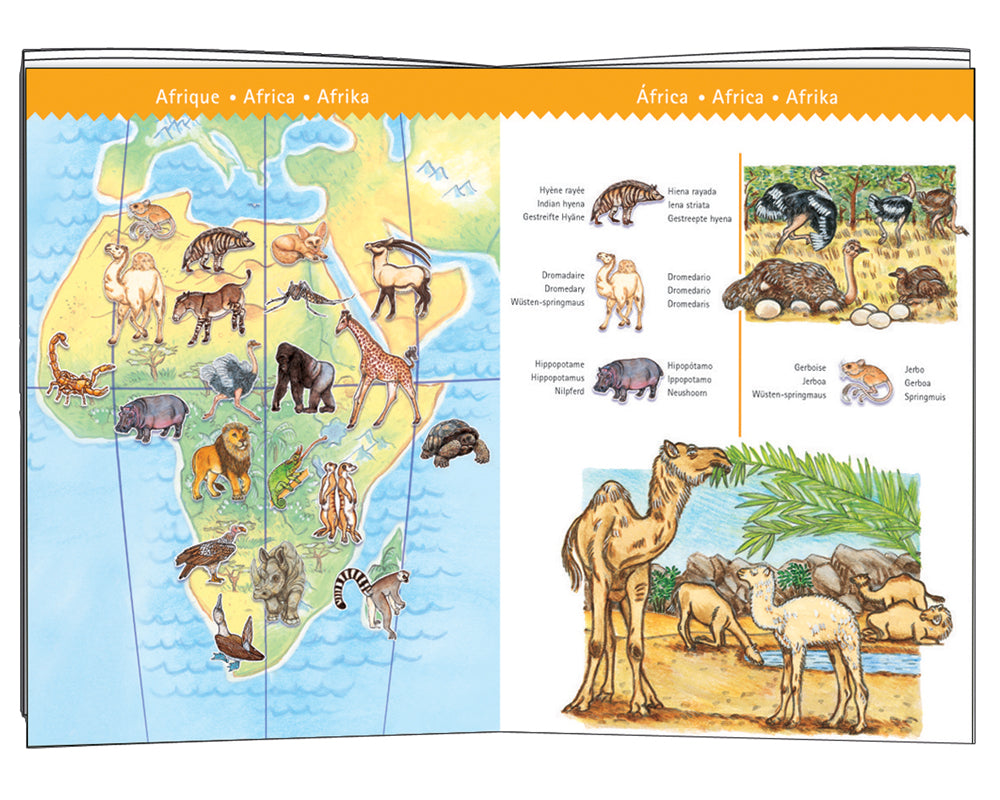Djeco Observations puzzles