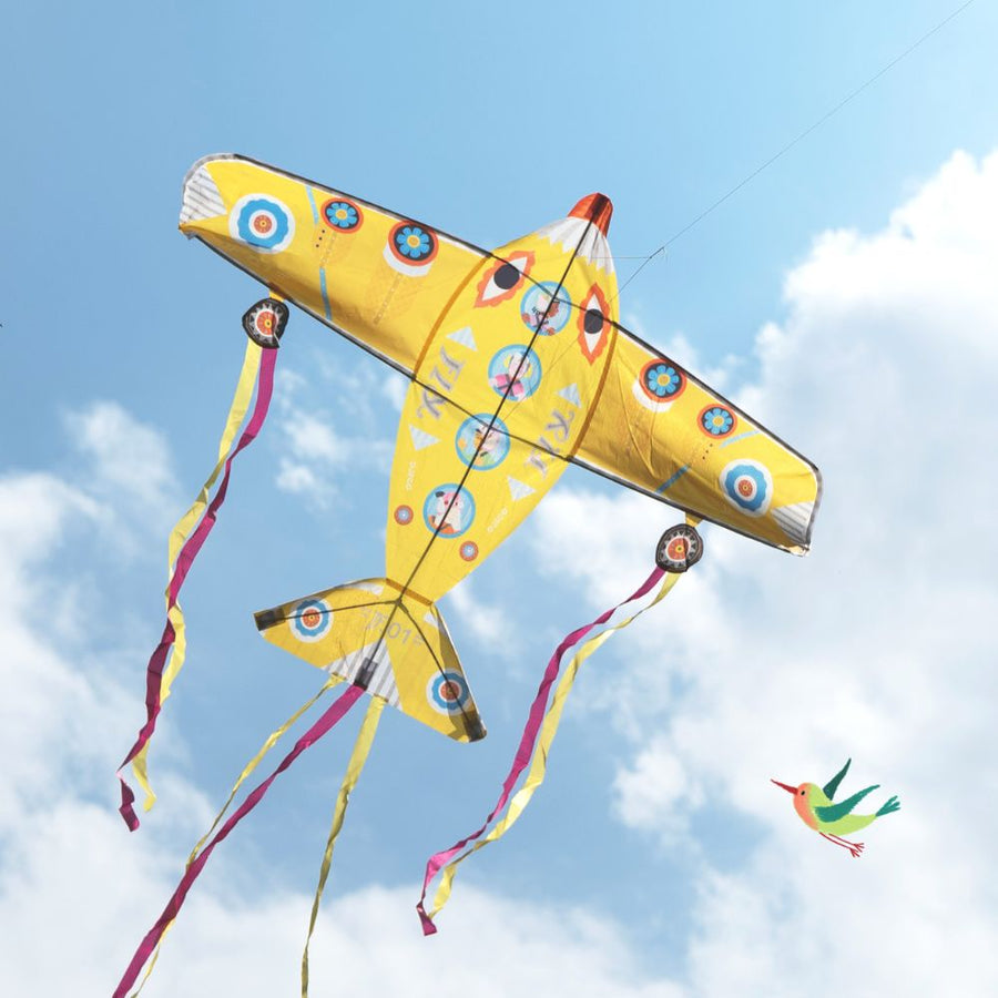 Djeco Kite - Large Maxi Plane Kite for Children age 5+