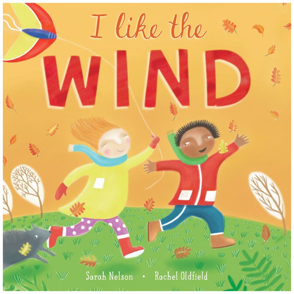I Like The Wind kids book