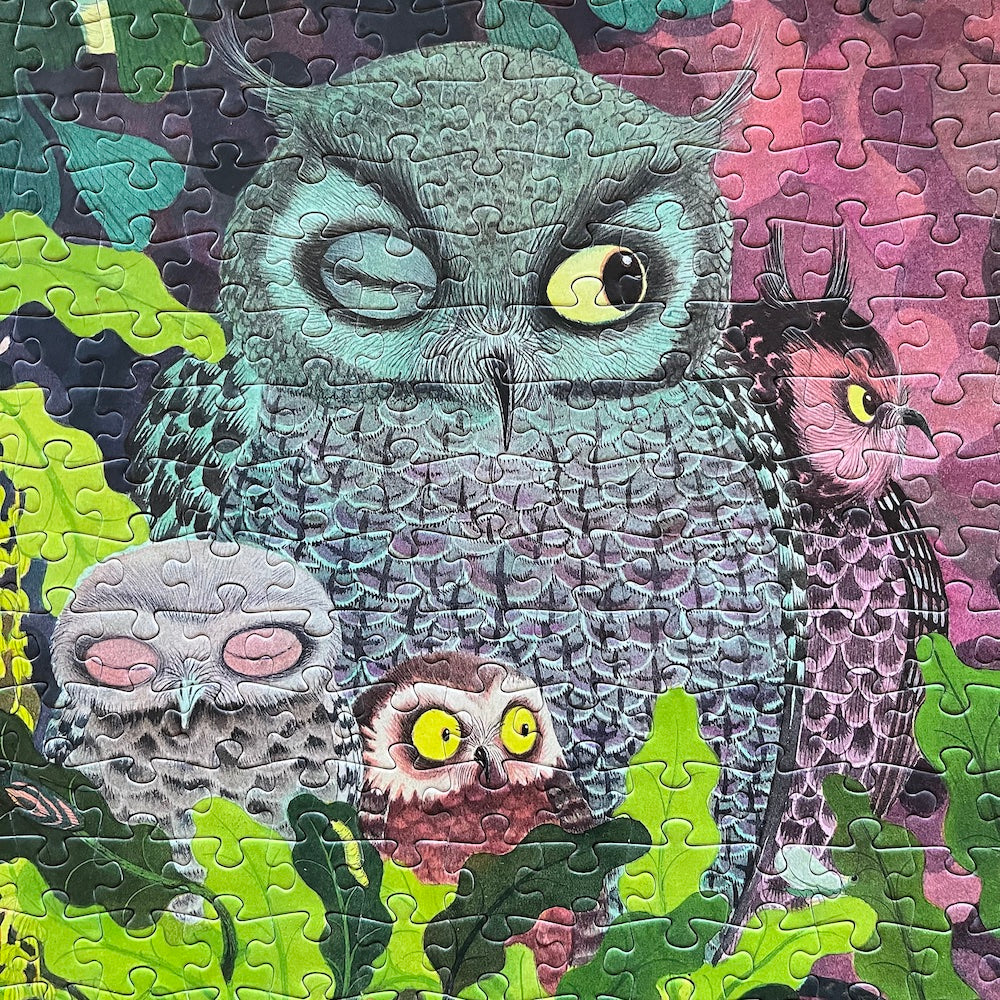 Djeco Gallery Puzzle - Owls & Birds 1000 pcs