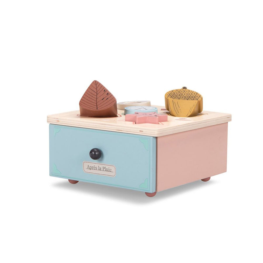 Shape-sorter-box-mouling-roty